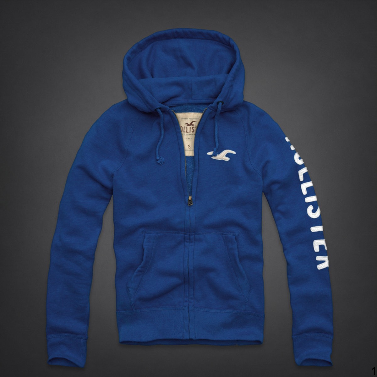 Hollister Hombres Outlet Capucha HCO4646